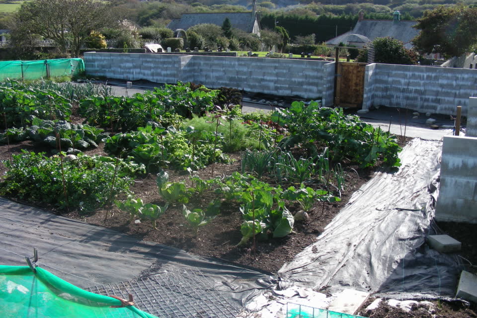 View over the garden area