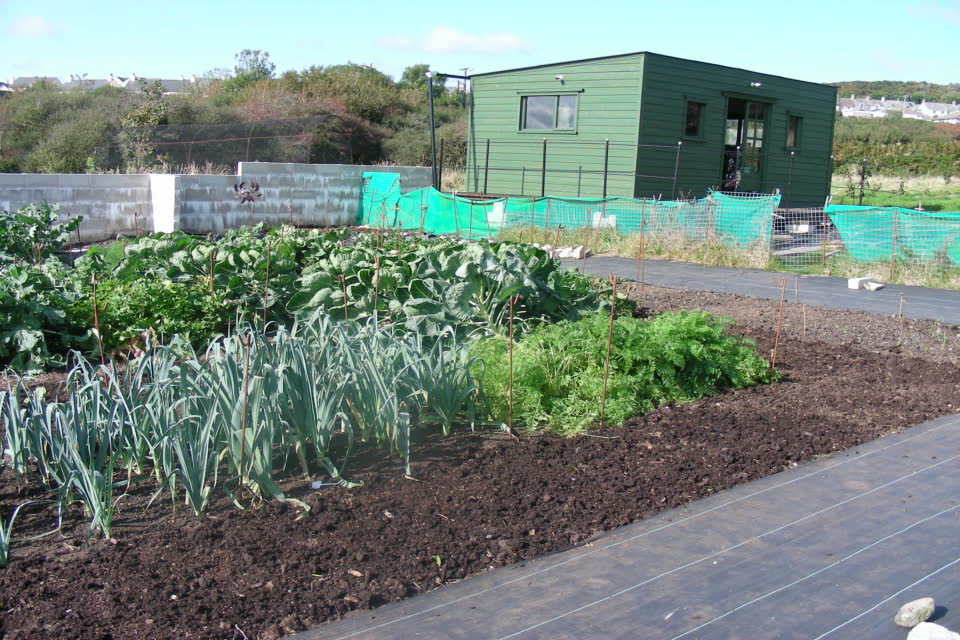 Leeks in the foreground