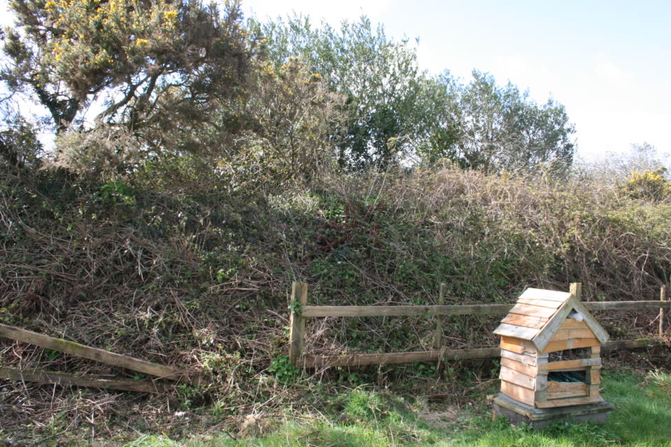 Mound-insect-hotel