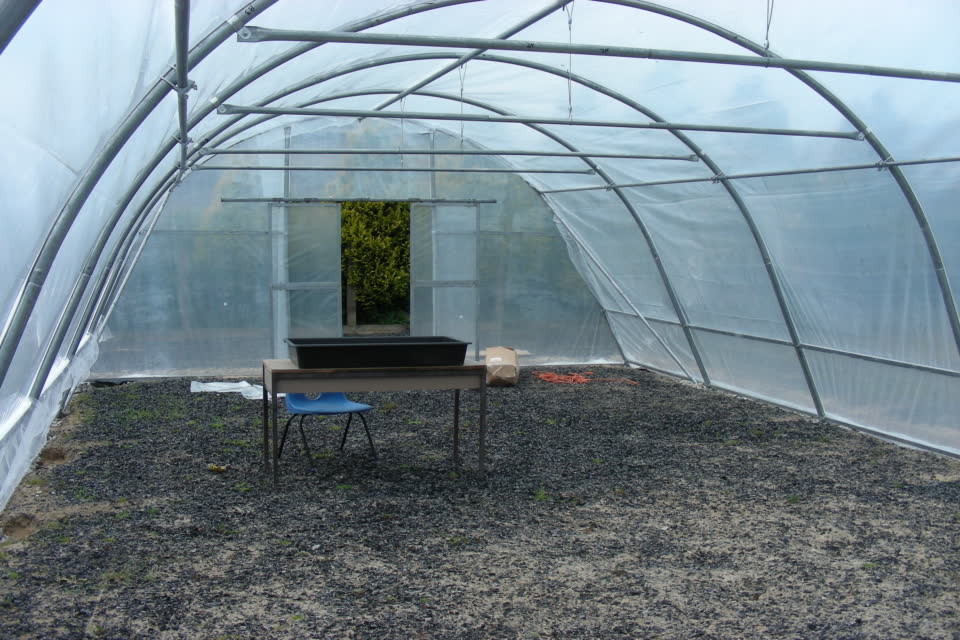 Polytunnel internal view