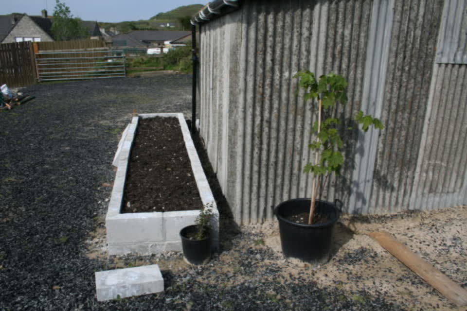 Raised bed by the shed