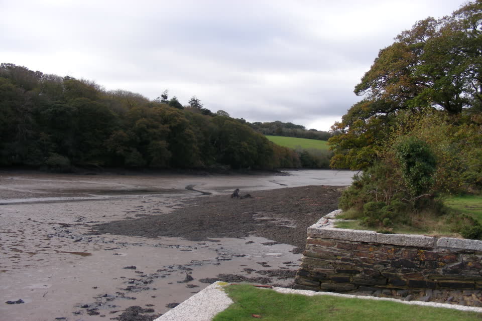 View from the old quayside