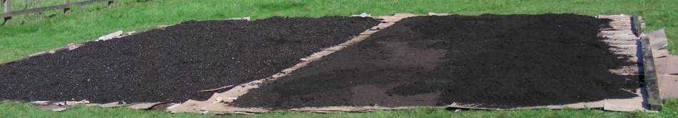 Our first 'No-Dig' vegetable beds