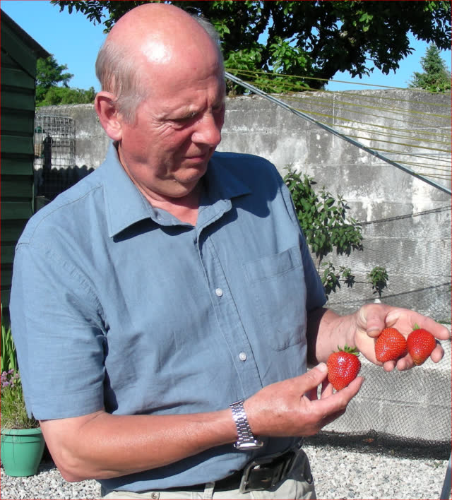 Paul with Strawberries